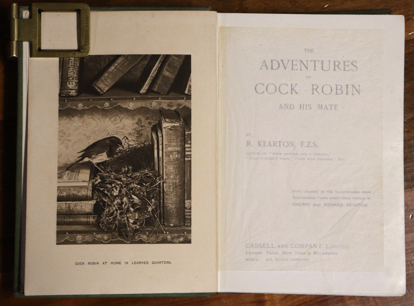 The Adventures Of Cock Robin & His Mate - 1904 - 1st Ed. Childrens Story Book - 0