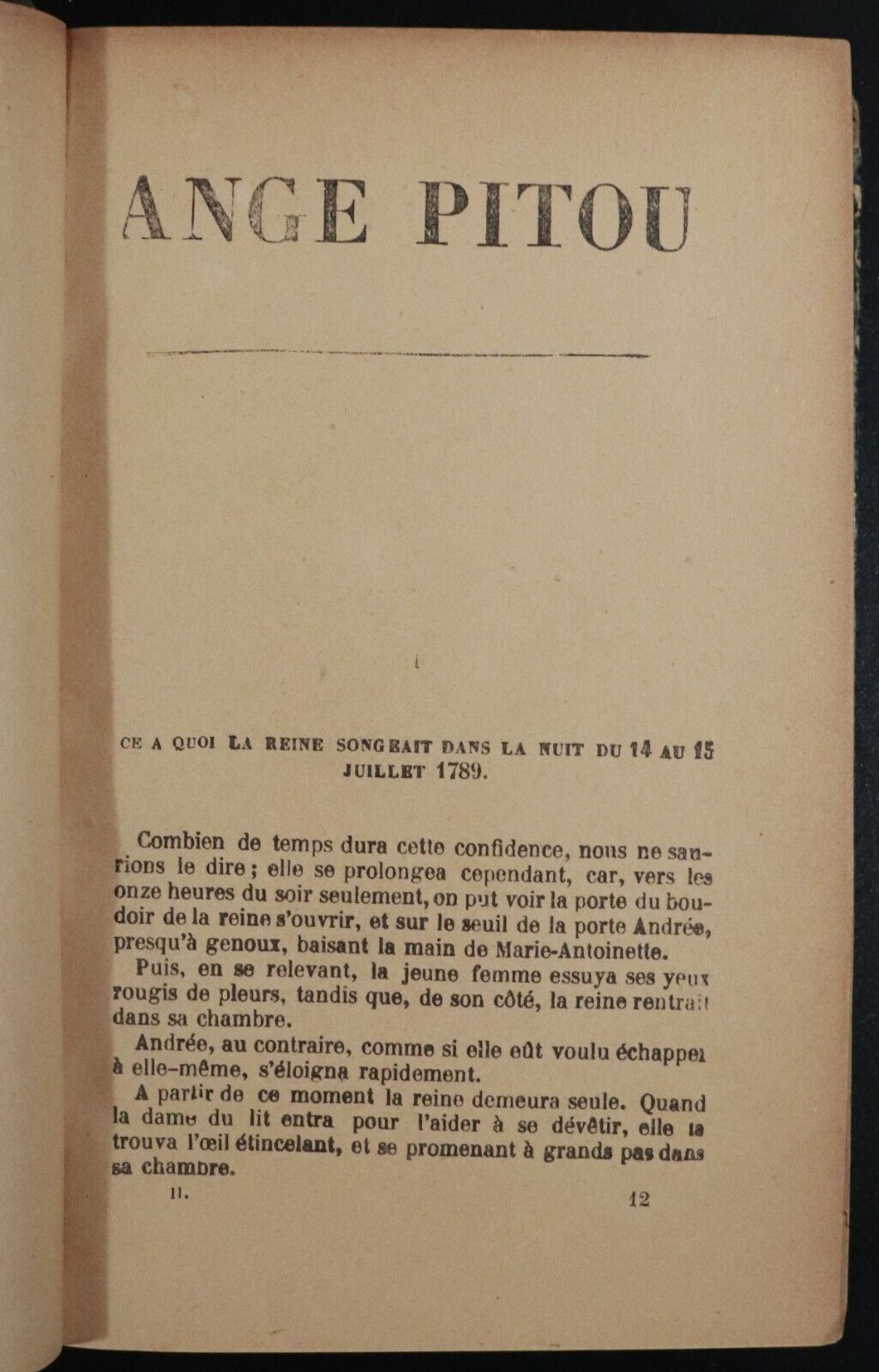 c1880 2vol Ange Pitou by Alexandre Dumas Antiquarian French Fiction Books