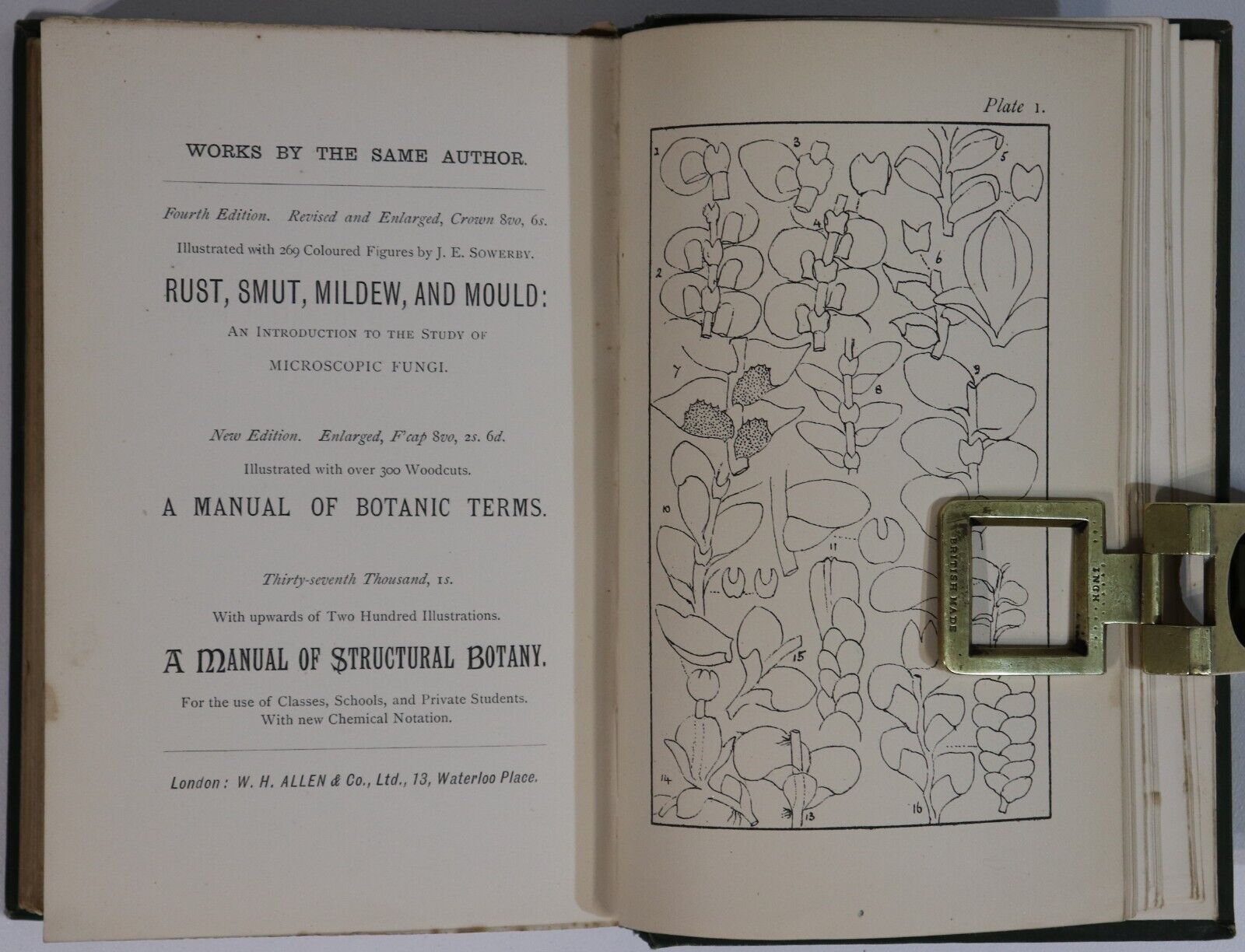 Handbook Of British Hepaticae by M. Cooke - 1894 - Antique Natural History Book