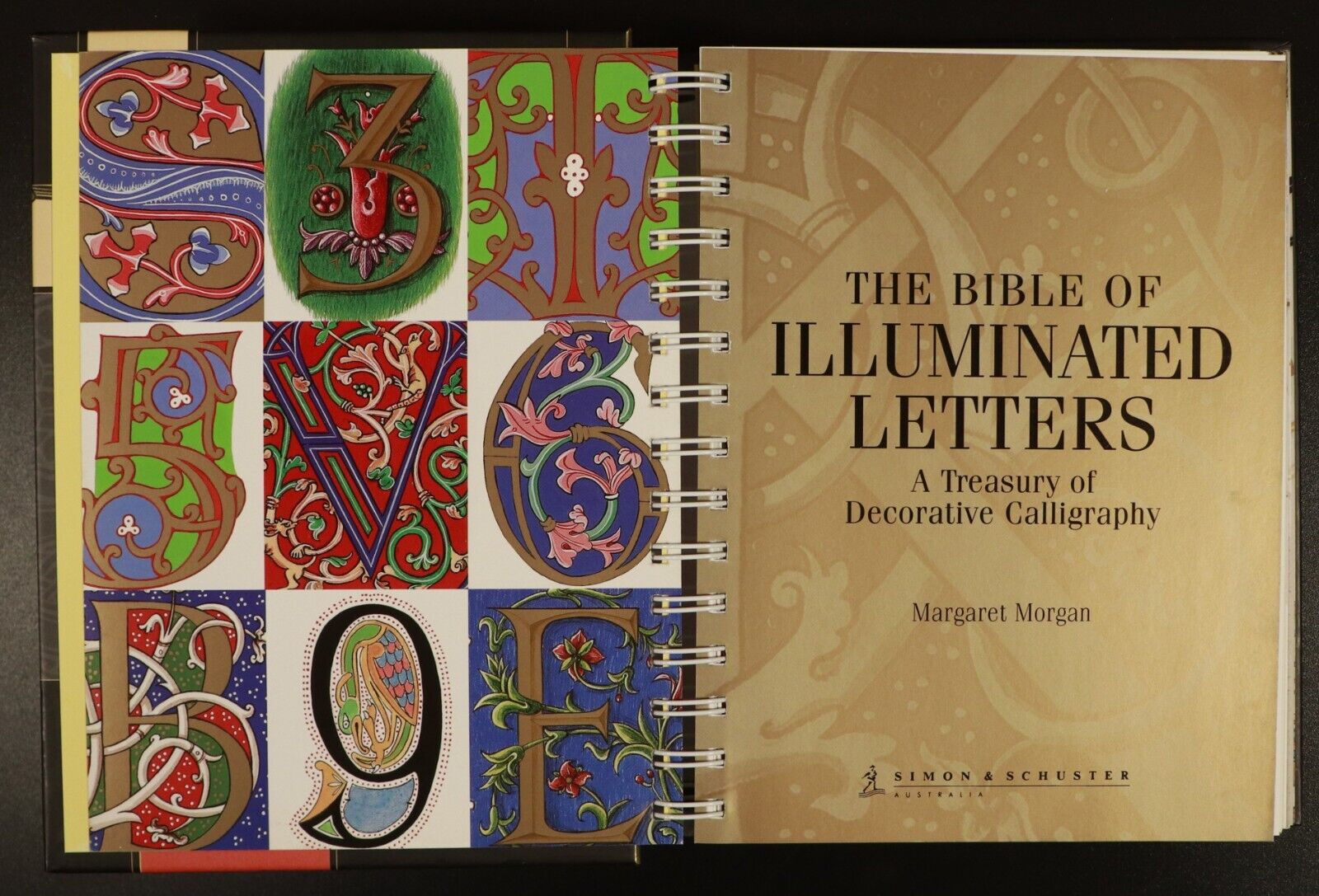 2006 The Bible Of Illuminated Letters Calligraphy Reference Book M. Morgan