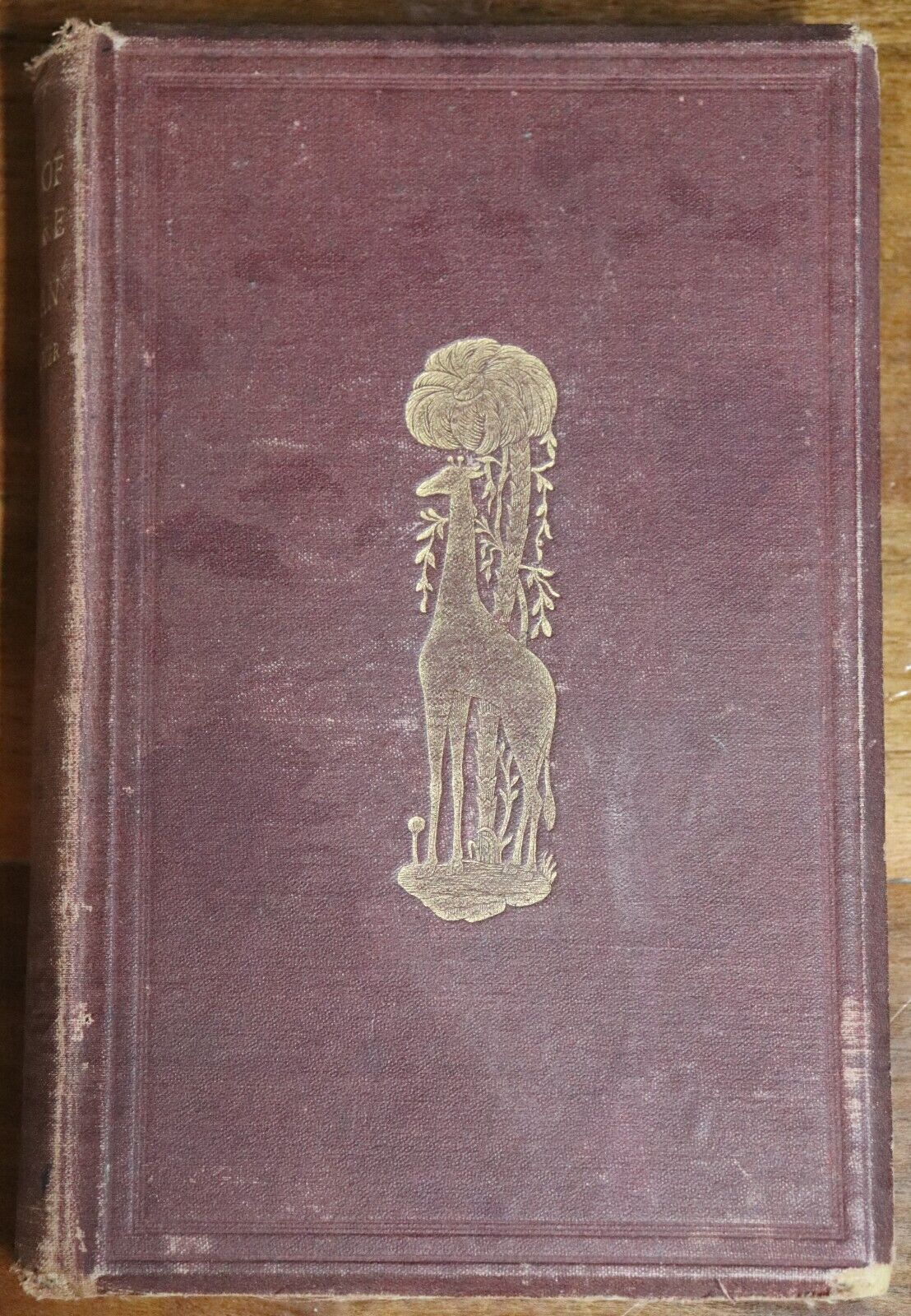 The Book Of Nature & Of Man by C Napier - 1870 - Antique Science & Nature Book