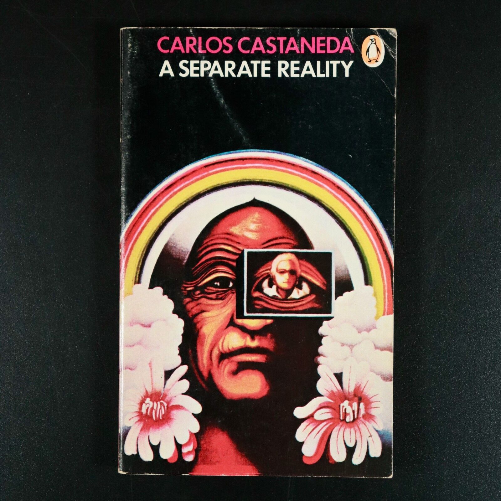 1974 A Separate Reality by Carlos Castaneda Vintage Fiction Book Shamanism