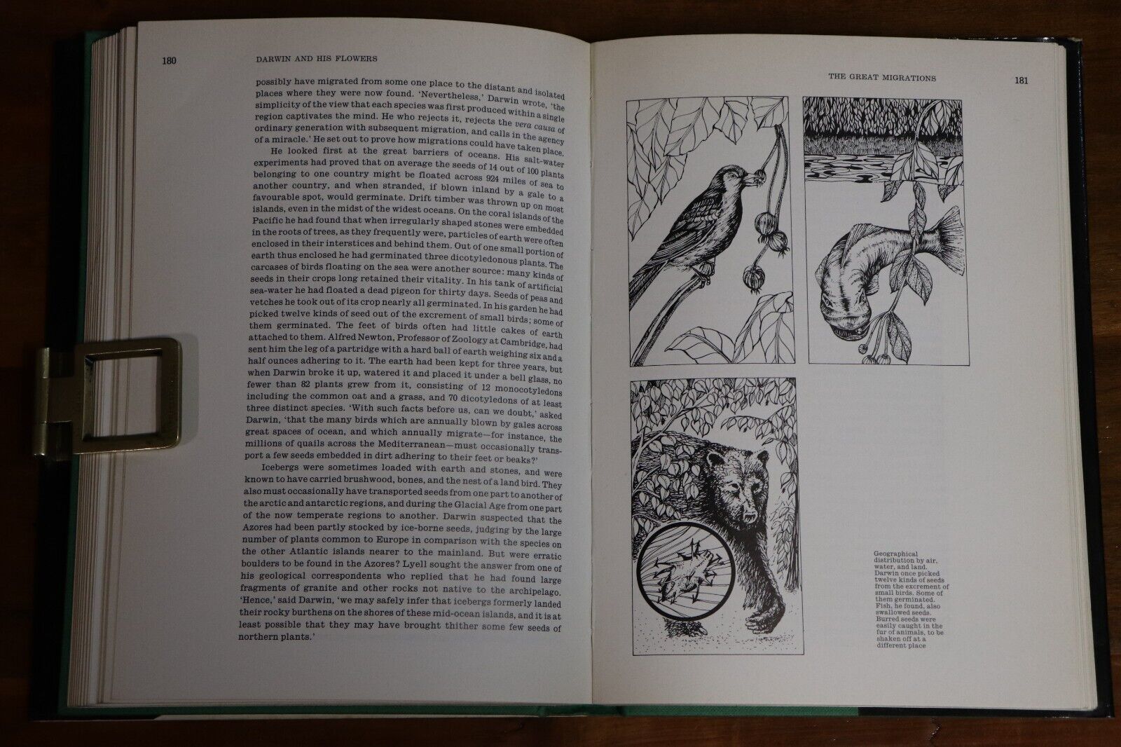 Darwin & His Flowers - Natural Selection - 1977 - Charles Darwin Science Book