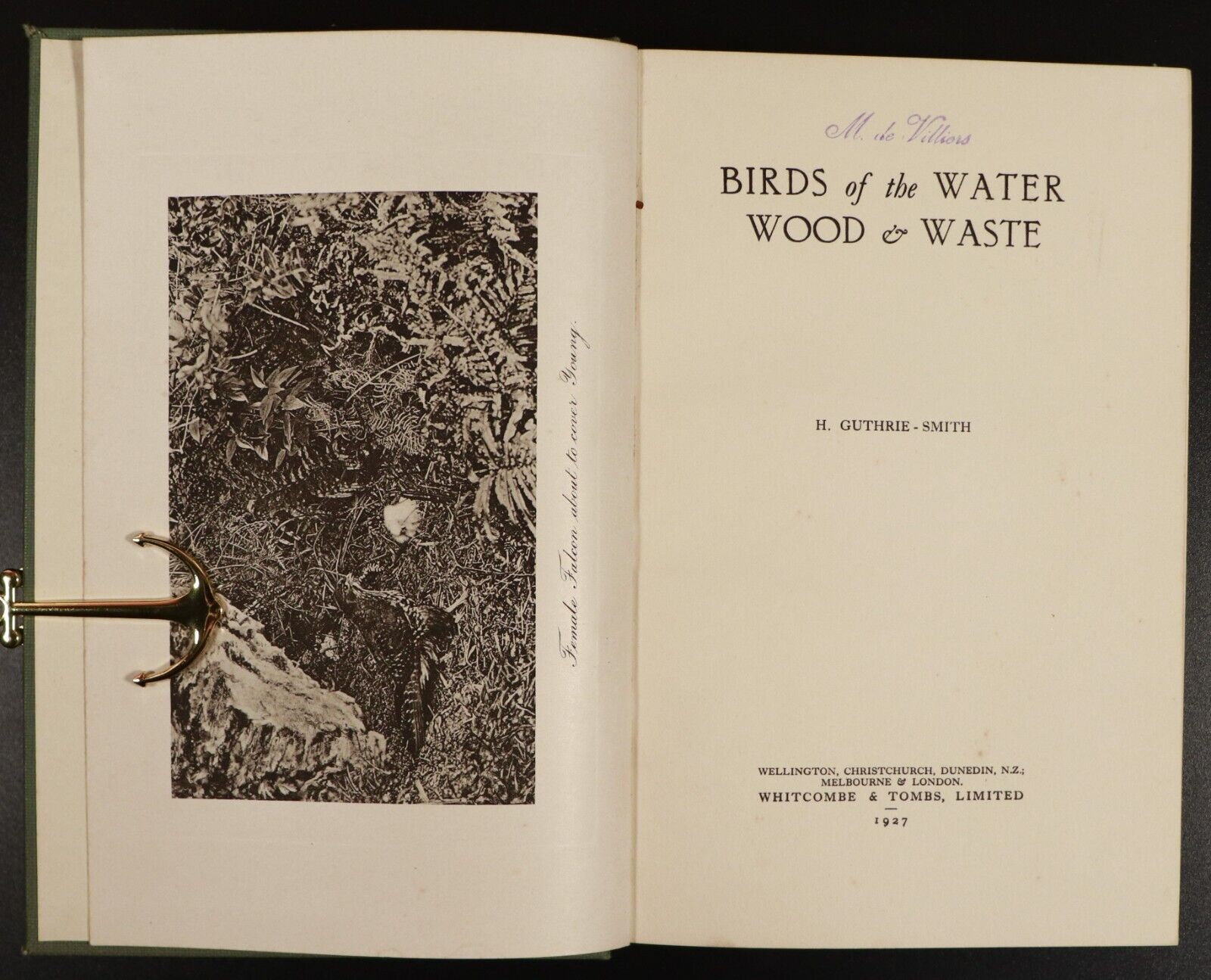 1927 Birds Of The Water, Wood & Waste by H. Guthrie-Smith Antique Book Nature