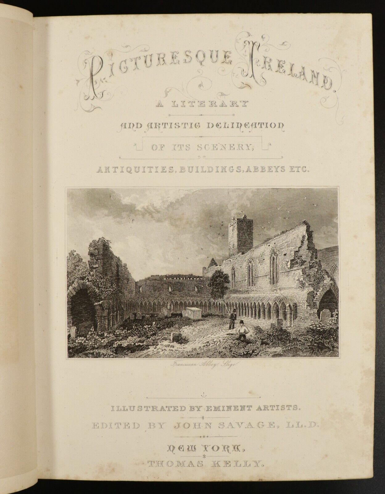 1884 Picturesque Ireland by John Savage w/Folding Map Antiquarian History Book - 0