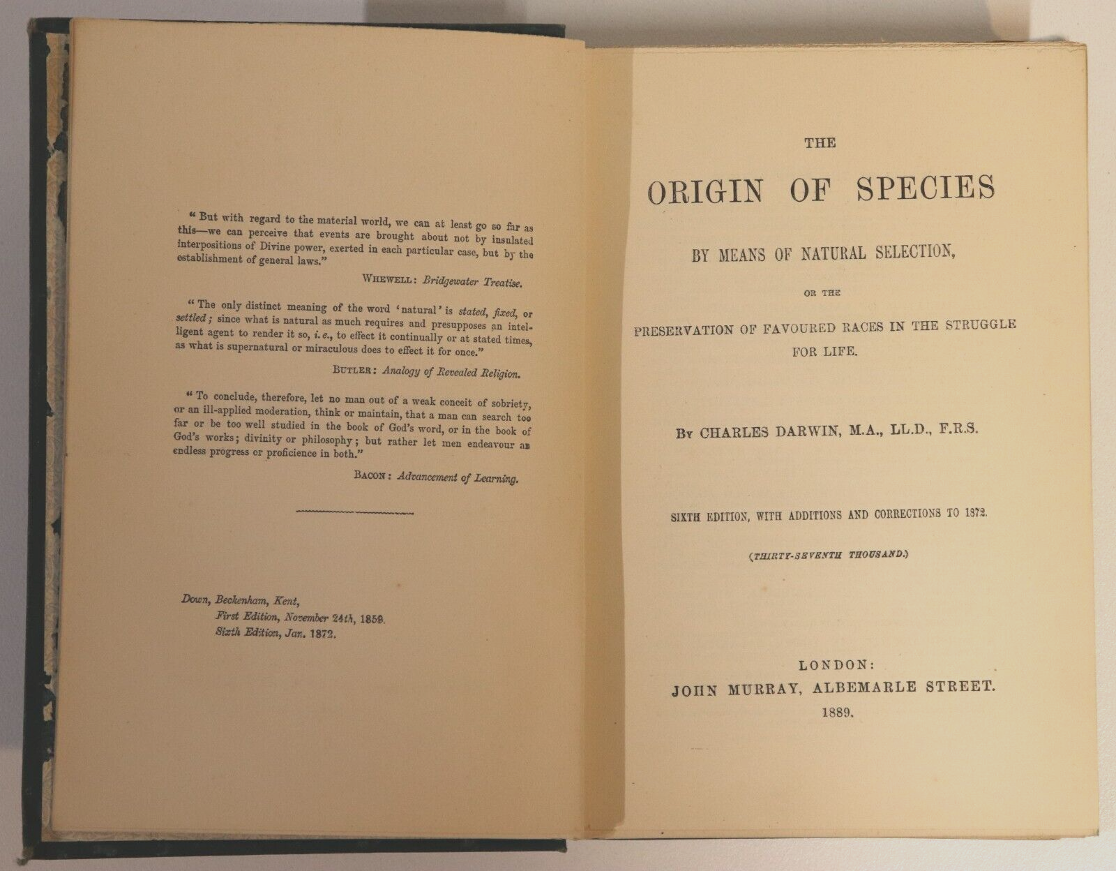 1889 The Origin Of Species by Charles Darwin Antiquarian Natural History Book