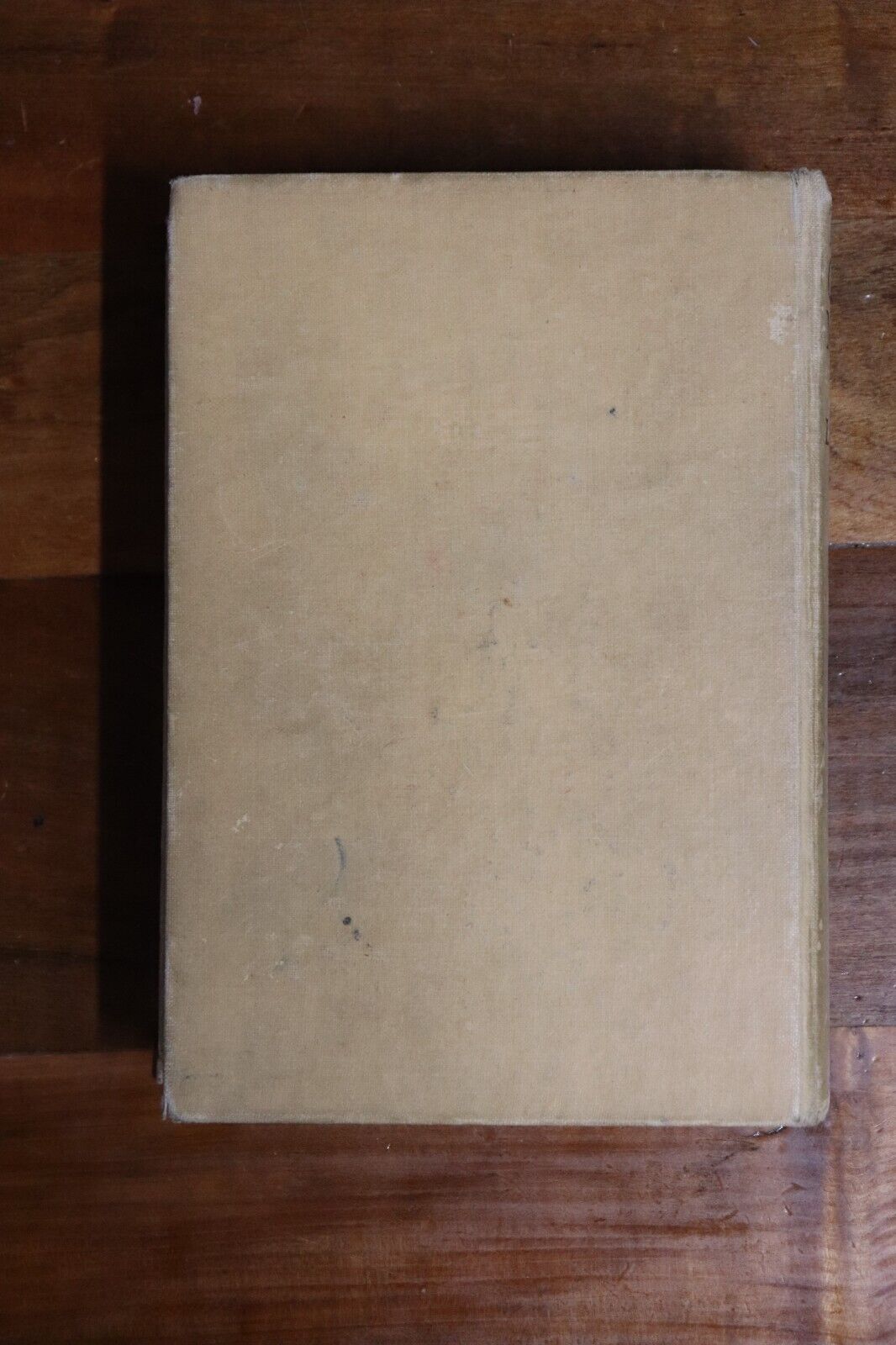 The Lone Guide Of Merfield - 1925 - 1st Edition Antique Literature Book