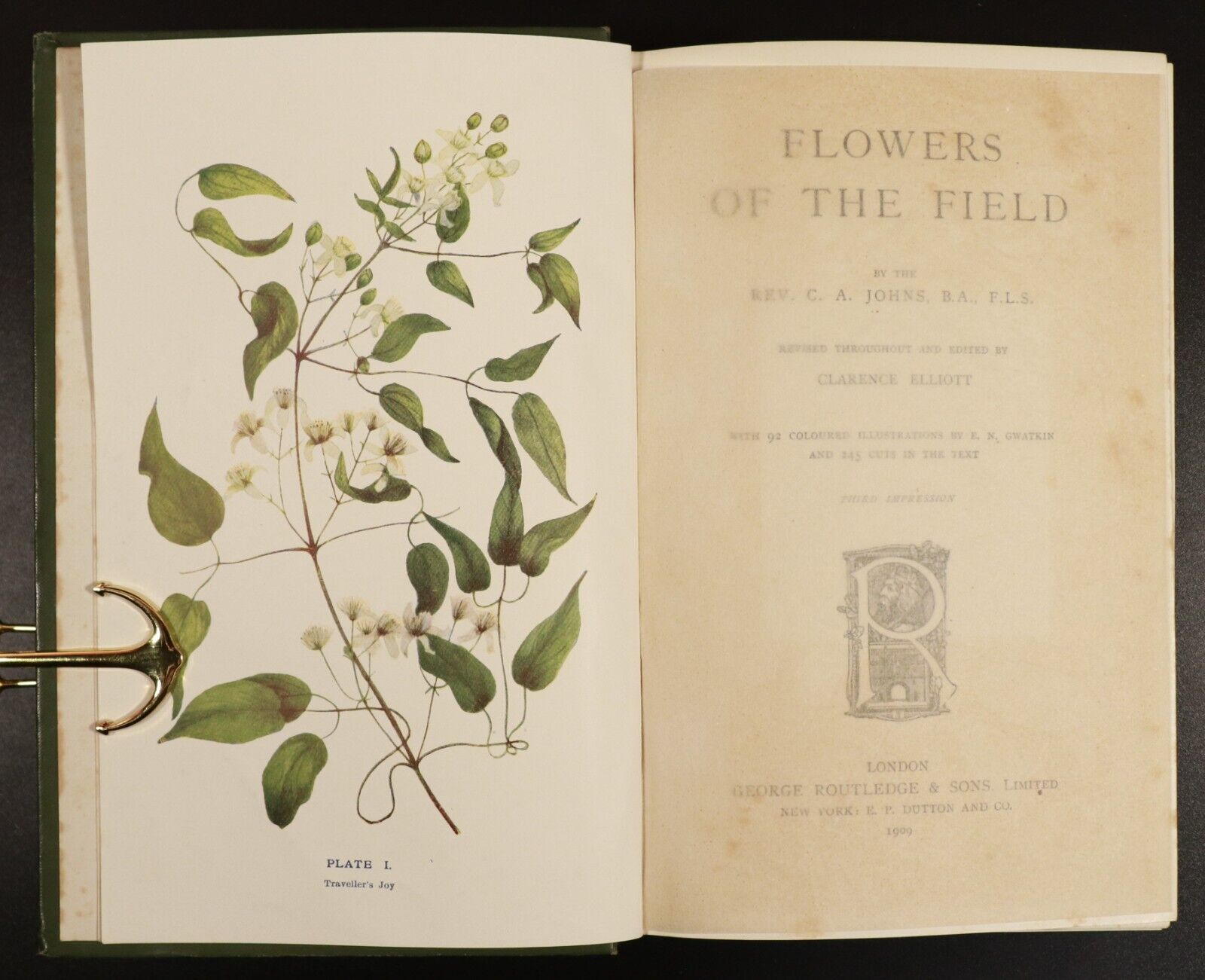 1909 Flowers Of The Field by C.A Johns & C. Elliott Antique Flora Reference Book - 0