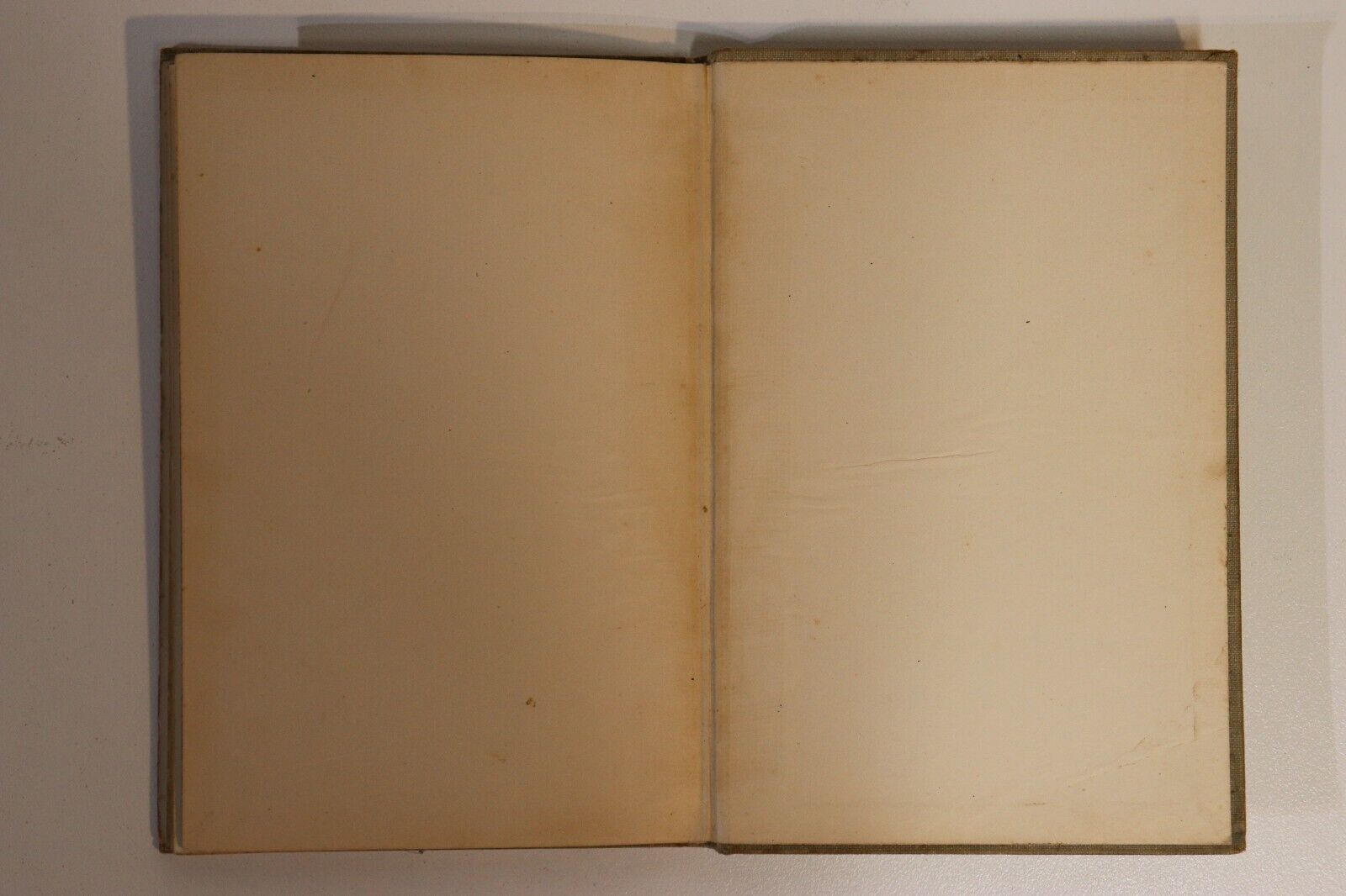 Two Girls by Susan Coolidge - 1900 - Antique Childrens Book